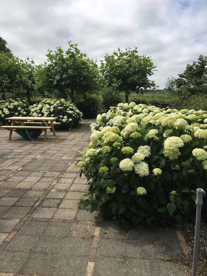 'T Wapen Van Middelie Eksteriør billede